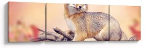Obraz - Lis (170x50 cm)