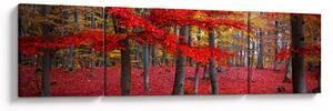 Obraz - Czerwony Las (170x50 cm)