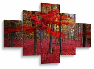 Obraz - Czerwony Las (125x70 cm)