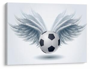Obraz - Balon ze skrzydłami (70x50 cm)