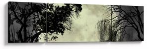 Obraz - Księżyc w pełni nad powierzchnią, wersja czarno - biała (170x50 cm)