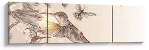 Obraz - Kolibry (170x50 cm)