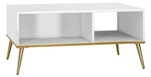 Åawa GALENA 90x60 biaÅy poÅysk