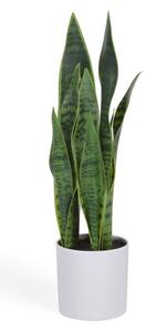 Sztuczna roślina (wysokość 55 cm) Sansevieria – Kave Home