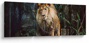 Obraz lwa w naturze (z zegarem) (90x30 cm)