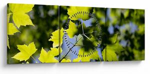 Obraz - liście klonu (z zegarem) (90x30 cm)