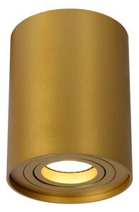 TUBE oprawa natynkowa złota tuba 1xGU10 fi 9,6cm regulowana