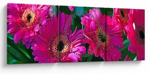 Obraz - kwiaty (z zegarem) (90x30 cm)