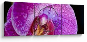 Zbliżenie kwiatu orchidei (z zegarem) (90x30 cm)