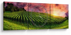 Obraz winnicy z kolorowym niebem (z zegarem) (90x30 cm)