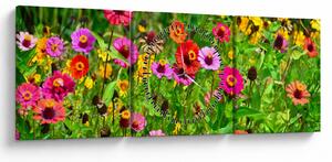Obraz kwiatów polnych (z zegarem) (90x30 cm)