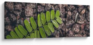 Obraz zielonej rośliny (z zegarem) (90x30 cm)