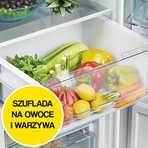 Lodówka CANDY CCT3L517EW 176cm Biała