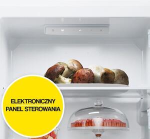 Lodówka CANDY CCT3L517EW 176cm Biała