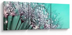 Obraz - zroszona roślina (z zegarem) (90x30 cm)