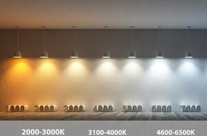 Taśma LED BLAUPUNKT Galaxy Zestaw Plug&Play TL12WW 5 m