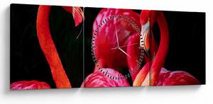 Obraz czerwonych flamingów (z zegarem) (90x30 cm)