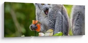 Obraz lemura (z zegarem) (90x30 cm)