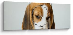 Obraz Beagle (z zegarem) (90x30 cm)