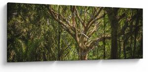 Obraz drzewa (z zegarem) (90x30 cm)