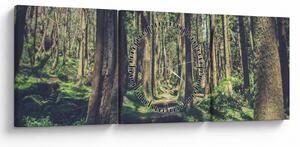 Obraz ścieżki pomiędzy drzewami (z zegarem) (90x30 cm)