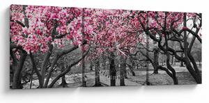 Obraz drzew magnolii (z zegarem) (90x30 cm)