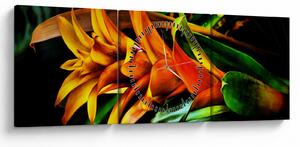 Obraz pomarańczowego kwiatu (z zegarem) (90x30 cm)