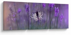 Obraz - Motyl w lawendach (z zegarem) (90x30 cm)