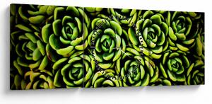 Obraz bez grzywki (z zegarem) (90x30 cm)