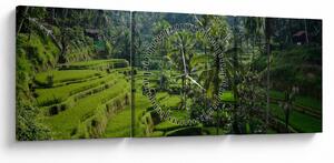 Obraz tarasów ryżowych Tegalalang, Bali (z zegarem) (90x30 cm)