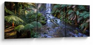 Obraz australijskiego lasu deszczowego (z zegarem) (90x30 cm)