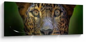 Obraz - Portret lamparta, Sri Lanka (z zegarem) (90x30 cm)