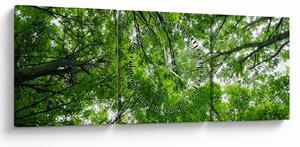 Obraz - Widok do korony drzewa (z zegarem) (90x30 cm)