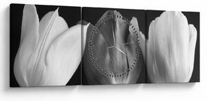 Obraz - Czarno - białe kwiaty tulipanów (z zegarem) (90x30 cm)
