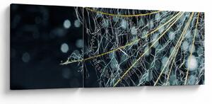 Obraz - Kwiat z pajęczyną (z zegarem) (90x30 cm)