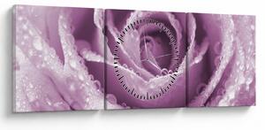Obraz szczegółu kwiatu róży (z zegarem) (90x30 cm)
