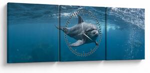 Obraz - Delfin pod wodą (z zegarem) (90x30 cm)