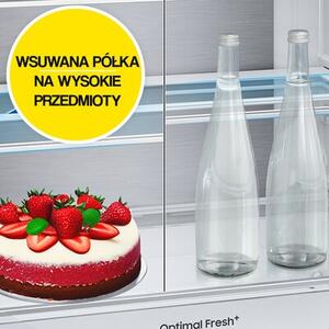 Lodówka SAMSUNG RB53DG706AB1EO Combi Max AI No Frost 203cm Grafitowa stal