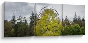 Obraz zielonego drzewa na środku pola (z zegarem) (90x30 cm)
