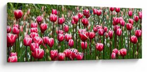 Obraz tulipanów (z zegarem) (90x30 cm)