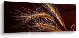 Obraz - Fragment kłosa żyta (z zegarem) (90x30 cm)