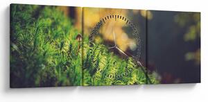 Obraz mchu z grzybem (z zegarem) (90x30 cm)