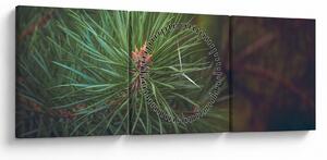 Obraz - Detal sosny (z zegarem) (90x30 cm)
