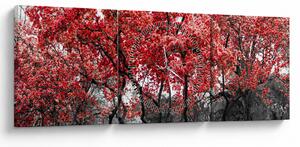 Obraz - Czerwone drzewa, Central Park, New York (z zegarem) (90x30 cm)