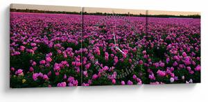 Obraz - Łąka fioletowych tulipanów (z zegarem) (90x30 cm)