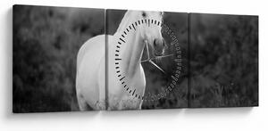 Obraz białego konia na łące, czarno - biały (z zegarem) (90x30 cm)