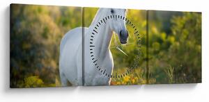 Obraz białego konia na łące (z zegarem) (90x30 cm)