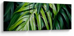 Obraz - Tropikalne liście (z zegarem) (90x30 cm)