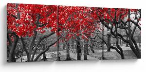 Obraz - Czerwone drzewa, Central Park, New York (z zegarem) (90x30 cm)