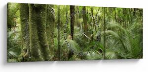 Obraz tropikalnego lasu deszczowego (z zegarem) (90x30 cm)